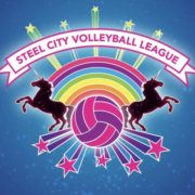 (c) Steelcityvolleyball.org